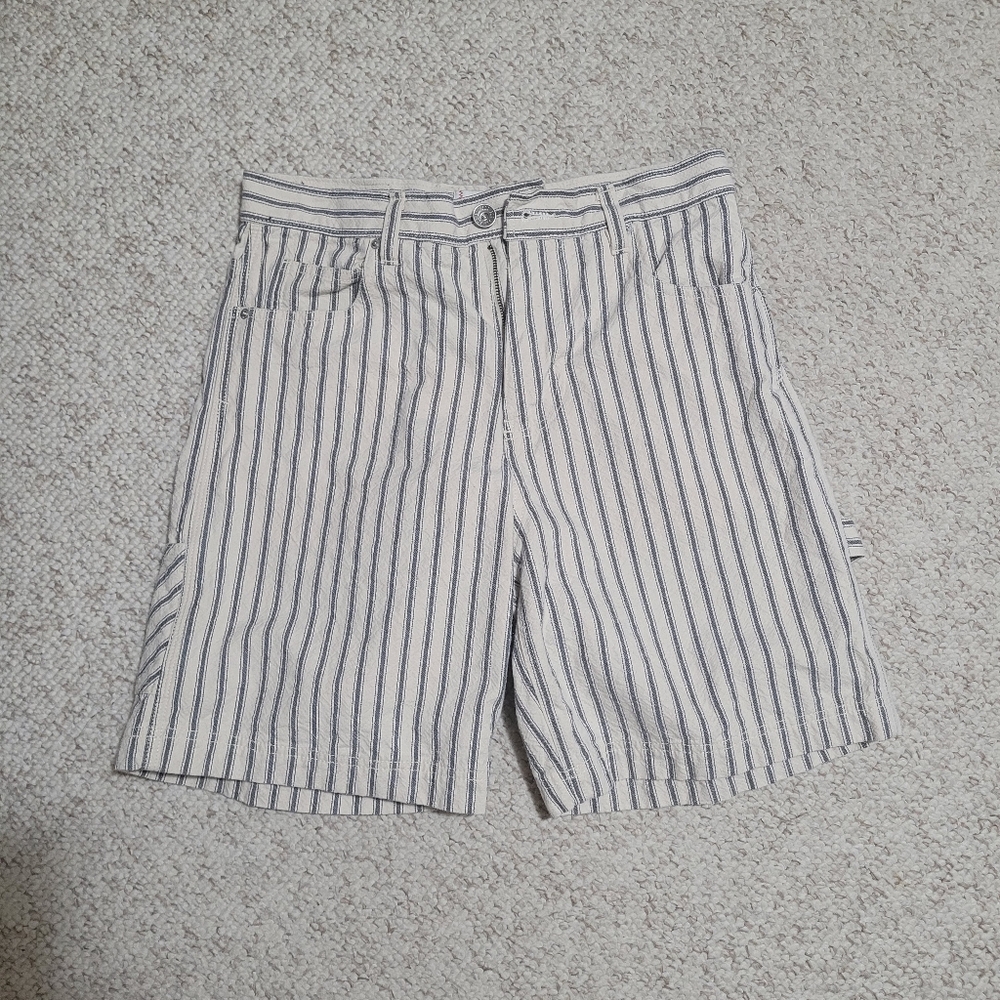 Urban Outfitters BDG Pinstripe shorts